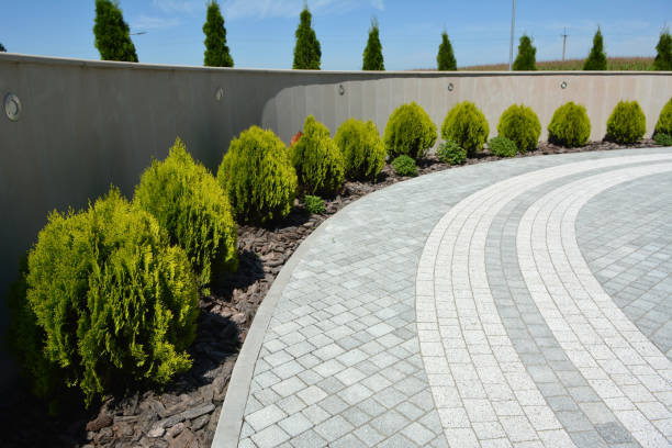 Best Professional Driveway Pavers  in Rosita, TX