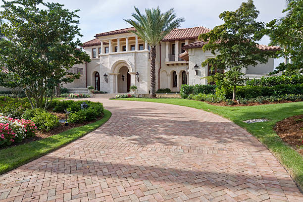 Best Best Driveway Pavers  in Rosita, TX