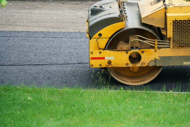 Best Driveway Pavers Near Me  in Rosita, TX
