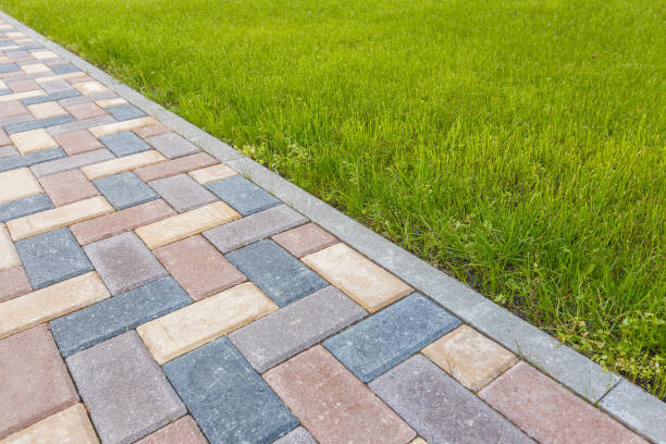 Best Affordable Driveway Paving  in Rosita, TX